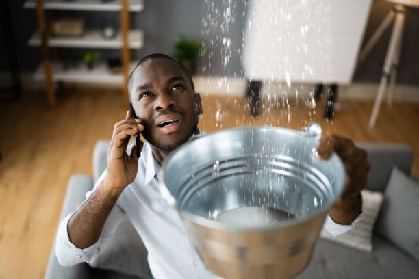 Best Local water damage restoration  in Kings Grant, NC