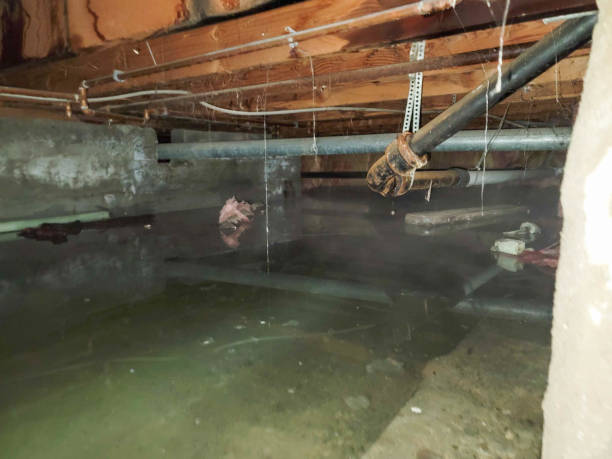 Best Water damage restoration mold remediation  in Kings Grant, NC