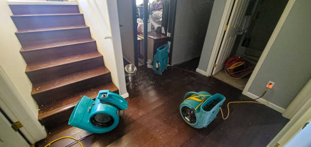 Best Fire Damage Restoration  in Kings Grant, NC