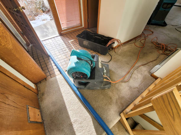 Best Flooded house restoration  in Kings Grant, NC