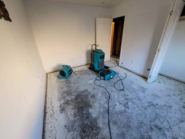 Best Fire Damage Restoration  in Kings Grant, NC