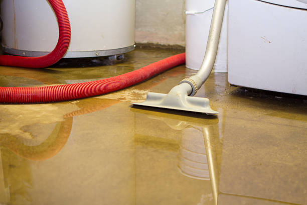 Reliable NC Water damage restoration Solutions