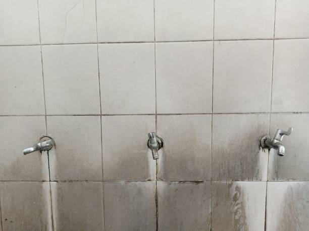 Reliable NC Water damage restoration Solutions